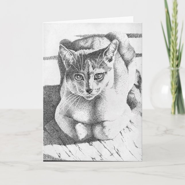 Tarjeta de felicitación del gato (Anverso)