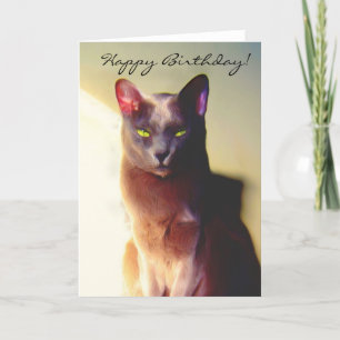 Tarjeta de felicitación del gato de cumpleaños fel