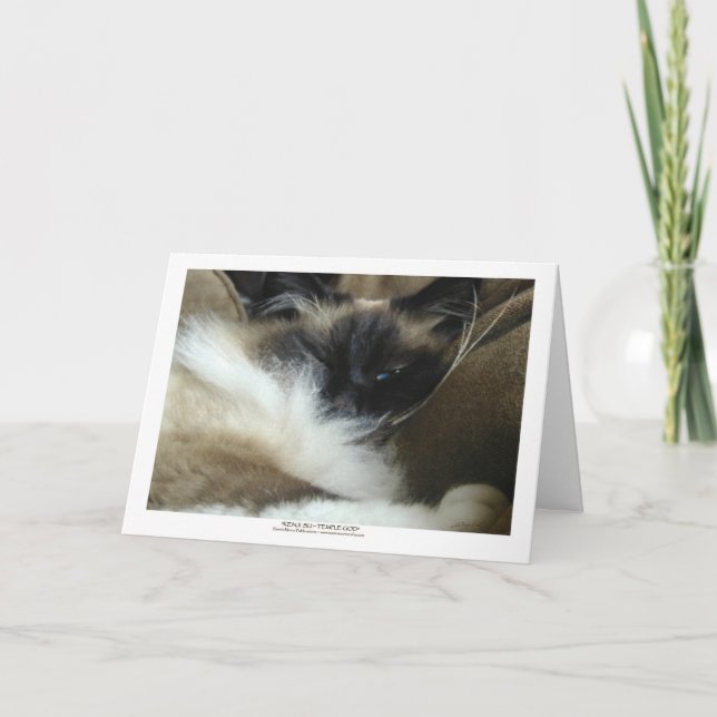 Tarjeta de felicitación del gato de Ragdoll Birman (Anverso)