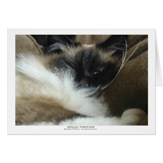 Tarjeta de felicitación del gato de Ragdoll Birman