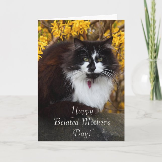 Tarjeta de felicitación del gato por el Día de la  (Anverso)