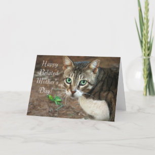 Tarjeta de felicitación del gato por el Día de la