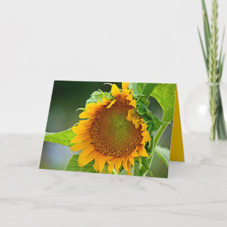 Tarjeta de felicitación del girasol