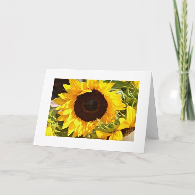 Tarjeta de felicitación del girasol (Anverso)