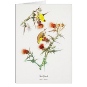 Tarjeta de felicitación del Goldfinch