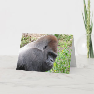 Tarjeta de felicitación del gorila de Lowland occi