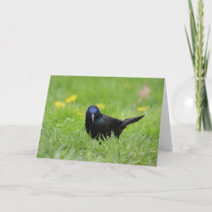 Tarjeta de felicitación del grajo gruñón