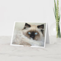 Tarjeta de felicitación "del GRAN GATSBY"