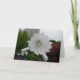 Tarjeta de felicitación del Hollyhock