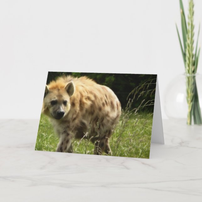 Tarjeta de felicitación del Hyena (Anverso)