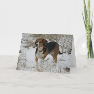 Tarjeta de felicitación del invierno del beagle de
