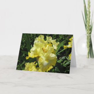 Tarjeta de felicitación del iris amarillo