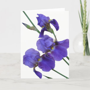 Tarjeta de felicitación del iris (espacio en