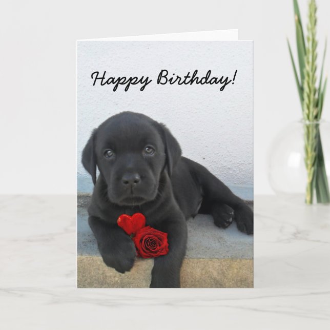 Tarjeta de felicitación del labrador retriever del (Anverso)