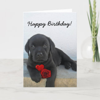 Tarjeta de felicitación del labrador retriever del