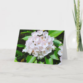 Tarjeta de felicitación del laurel de montaña
