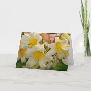 Tarjeta de felicitación del lirio