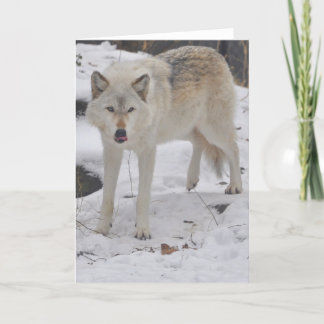 Tarjeta de felicitación del lobo gris