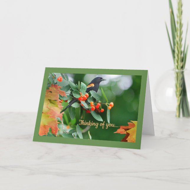 Tarjeta de felicitación del mirlo de alas rojas (Anverso)