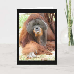 Tarjeta de felicitación del mono del orangután del