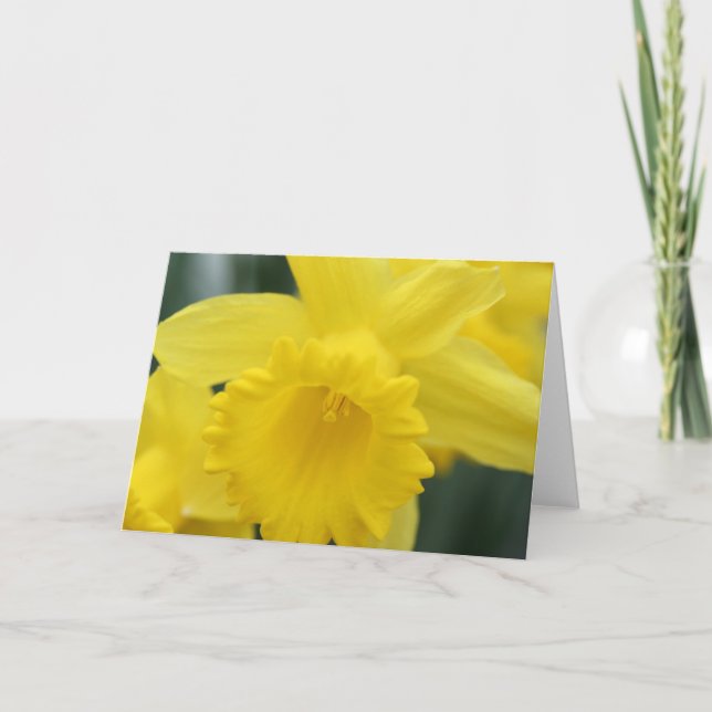 Tarjeta de felicitación del narciso (Anverso)