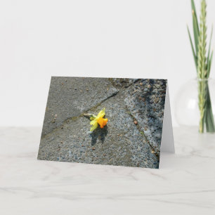 Tarjeta de felicitación del narciso
