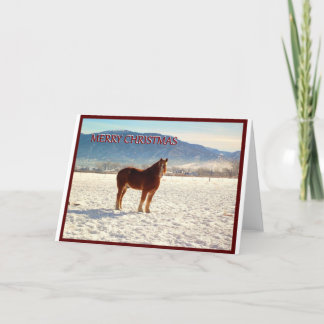 Tarjeta de felicitación del navidad del caballo de