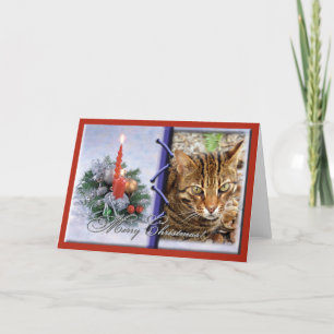 Tarjeta de felicitación del navidad del gato de