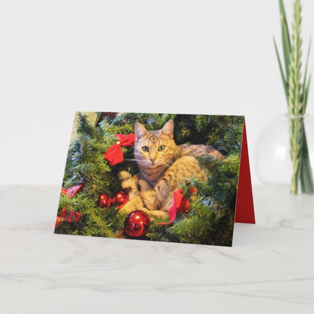 Tarjeta de felicitación del navidad del gato del (Anverso)