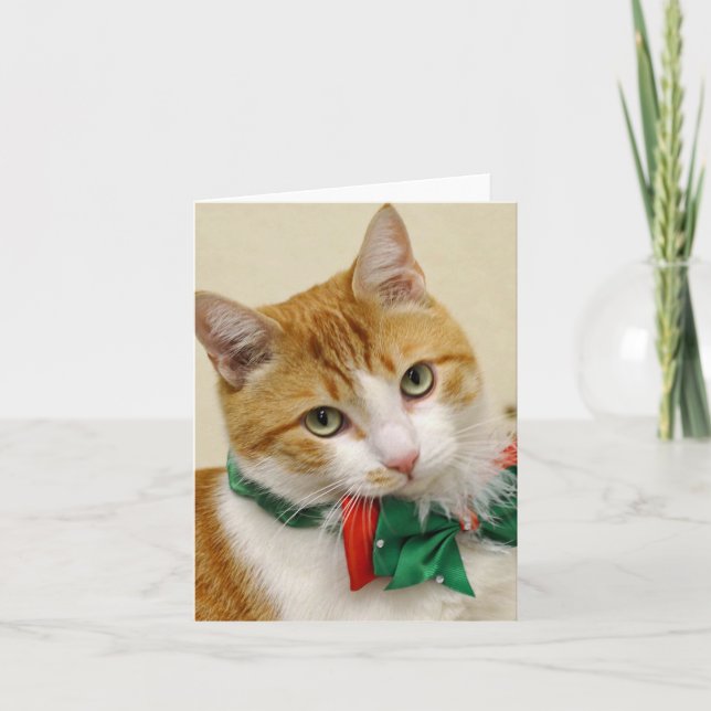 Tarjeta de felicitación del navidad del Tabby del (Anverso)