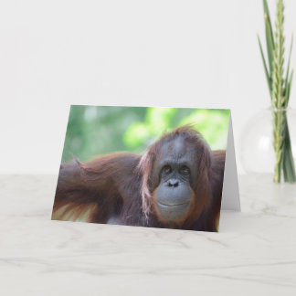 Tarjeta de felicitación del orangután