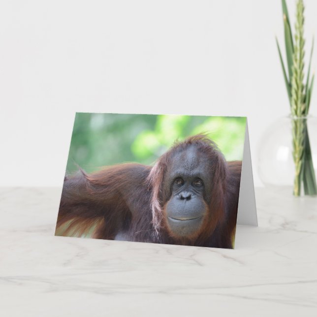 Tarjeta de felicitación del orangután (Anverso)