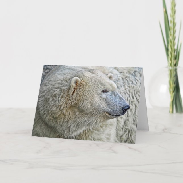 Tarjeta de felicitación del oso polar (Anverso)