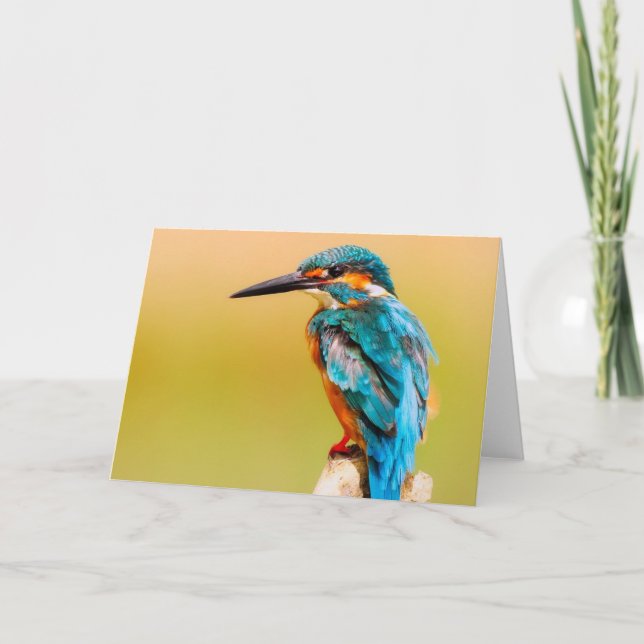 Tarjeta de felicitación del pájaro del martín (Anverso)