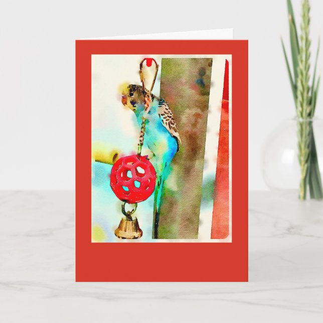 Tarjeta de felicitación del Parakeet (Anverso)