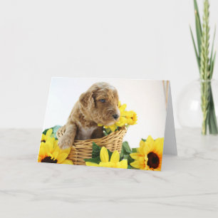 Tarjeta de felicitación del perrito de