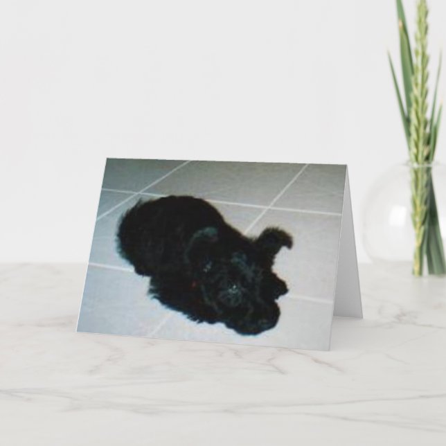 Tarjeta de felicitación del perrito del abucheo de (Anverso)