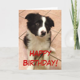 Tarjeta de felicitación del perrito del border