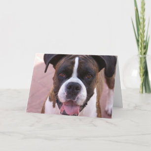Tarjeta de felicitación del perrito del boxeador
