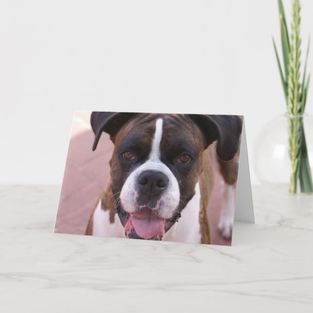 Tarjeta de felicitación del perrito del boxeador (Anverso)