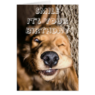 Tarjeta de felicitación del perrito del cumpleaños