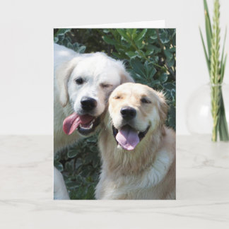 Tarjeta de felicitación del perrito del golden