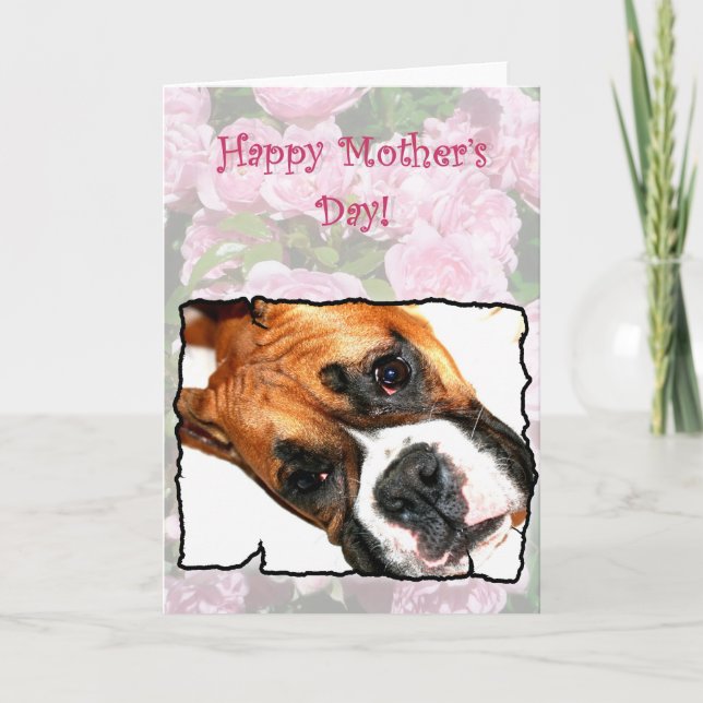 Tarjeta de felicitación del perro boxeador del día (Anverso)
