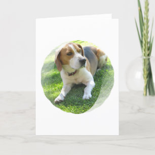 Tarjeta de felicitación del perro de caza del