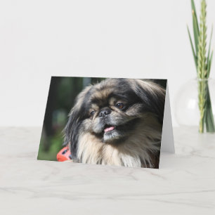 Tarjeta de felicitación del perro de Pekingese