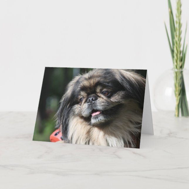 Tarjeta de felicitación del perro de Pekingese (Anverso)