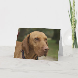 Tarjeta de felicitación del perro de Rhodesian