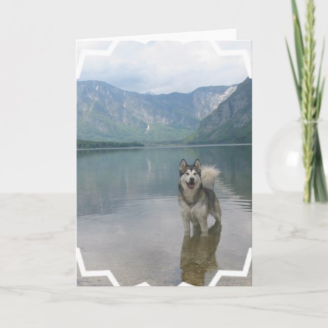 Tarjeta de felicitación del perro del Malamute (Anverso)