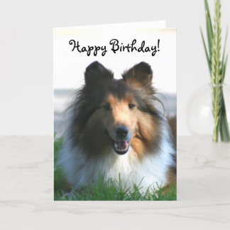 Tarjeta de felicitación del perro pastor de