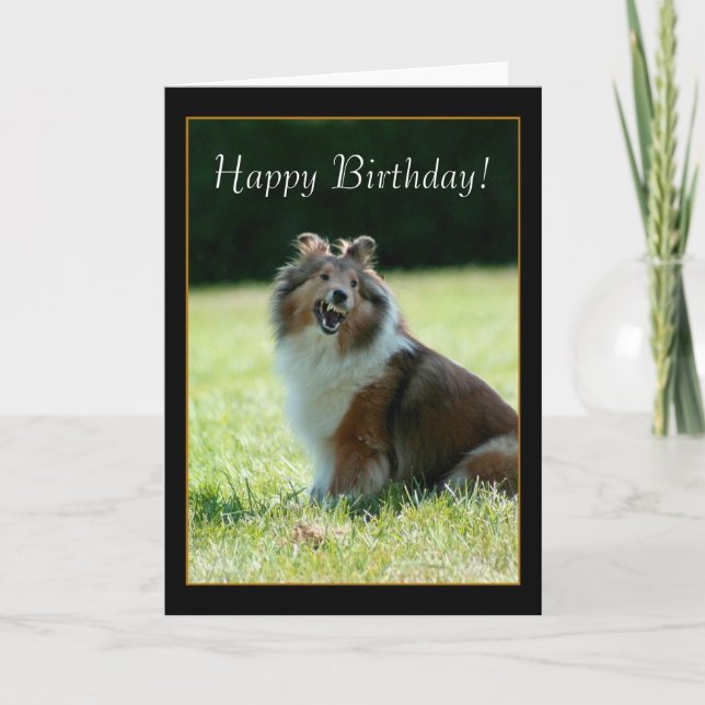 Tarjeta de felicitación del perro pastor de (Anverso)